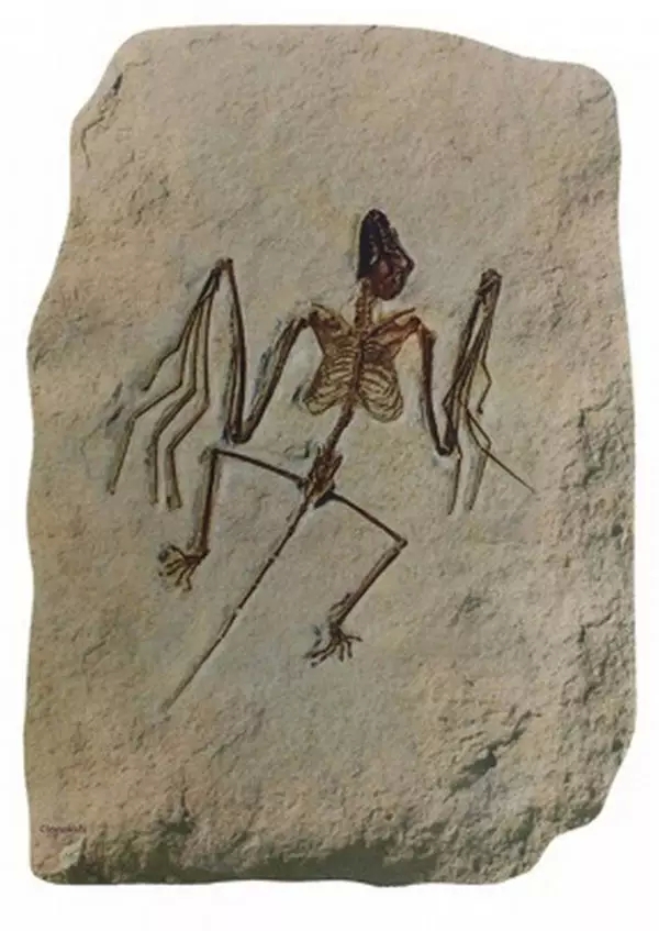 創(chuàng)意鼠標墊