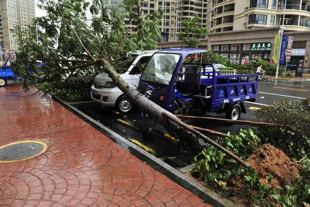 “妮妲”撲向珠三角 能者橡膠停產一天 “妮妲”撲向珠三角 能者橡膠停產一天