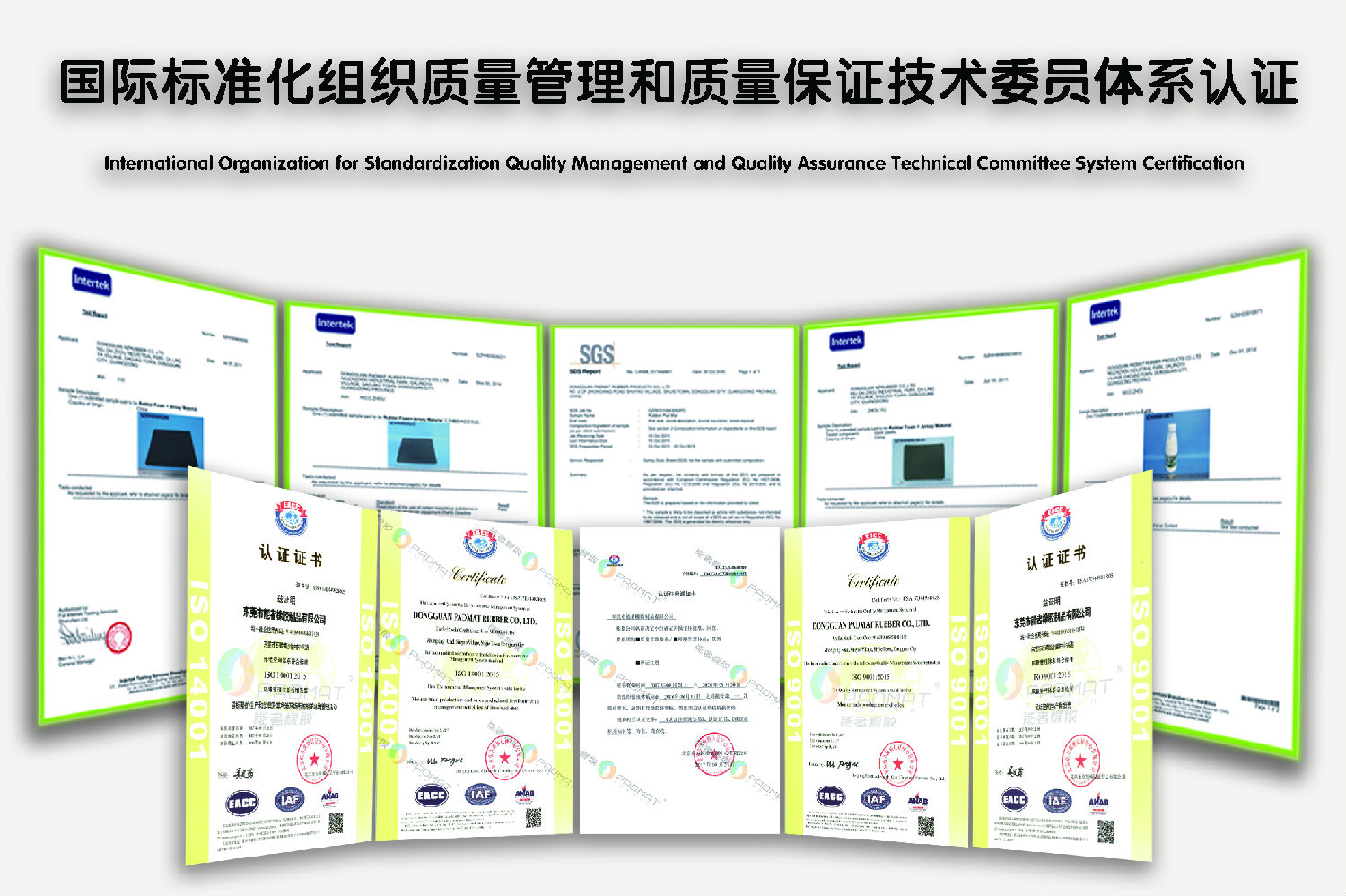 能者資質(zhì) 能者資質(zhì)